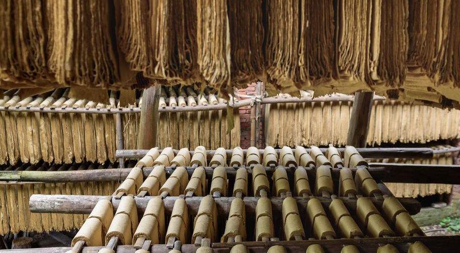 中國紙制品行業(yè)發(fā)展前景